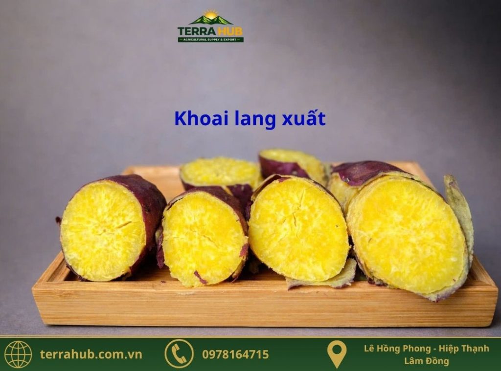 Khoai Lang xuất khẩu