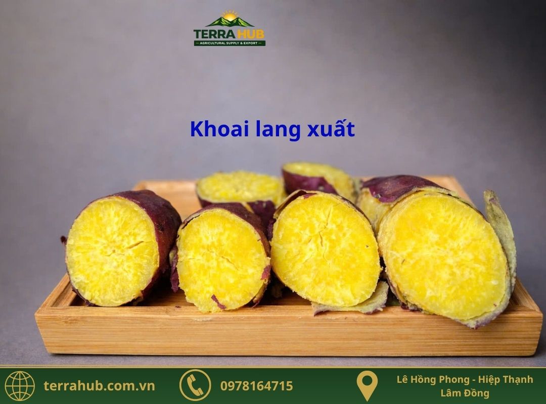 Khoai Lang xuất khẩu