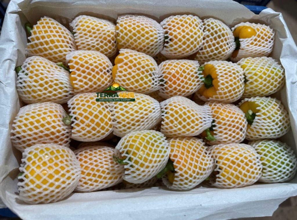 Kinh Nghiệm mua ở chuông xuất khẩu