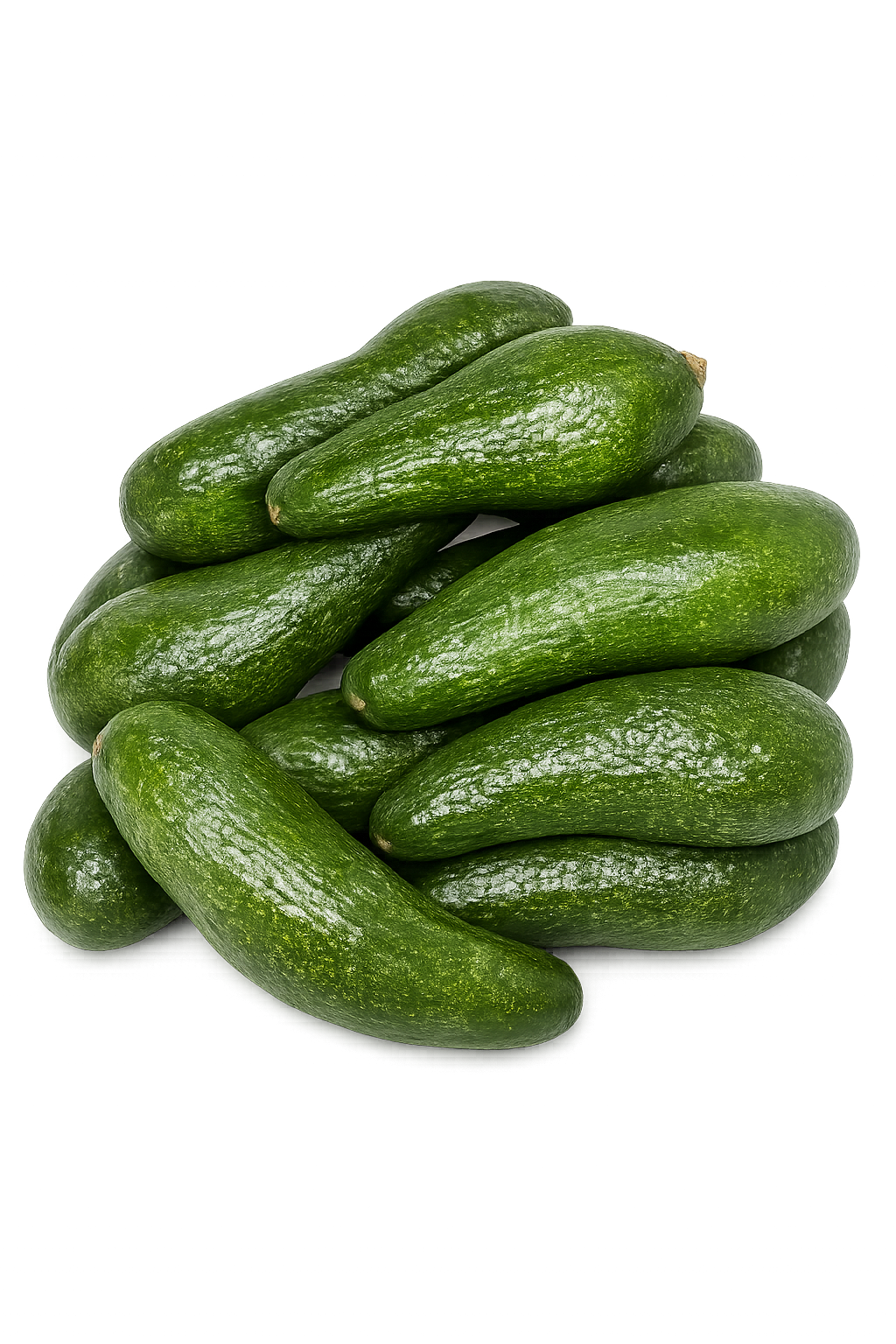 bơ