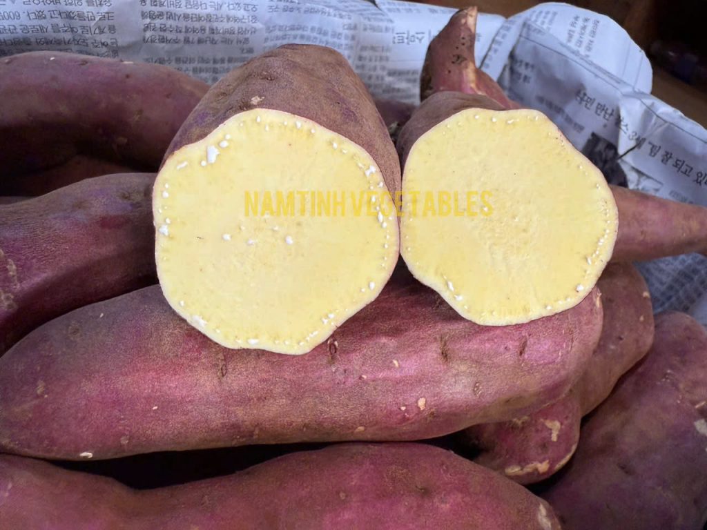 Tiêu chuẩn chọn khoai lang xuất khẩu
