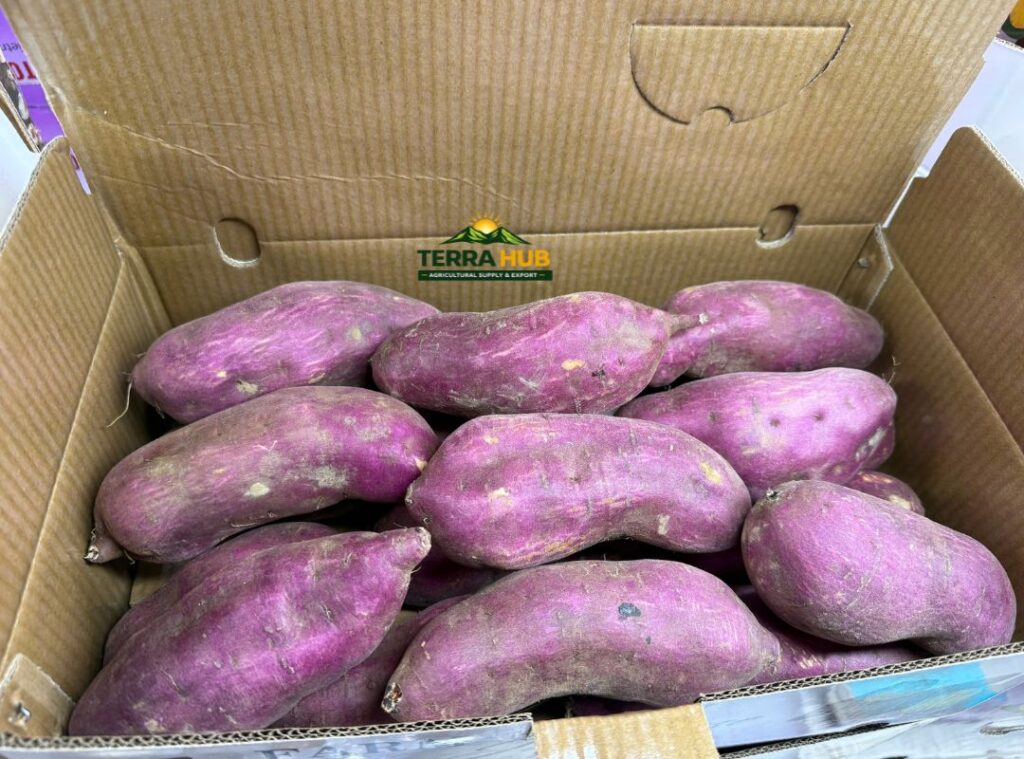 Khoai Lang Nhật Quy cách thùng 5kg