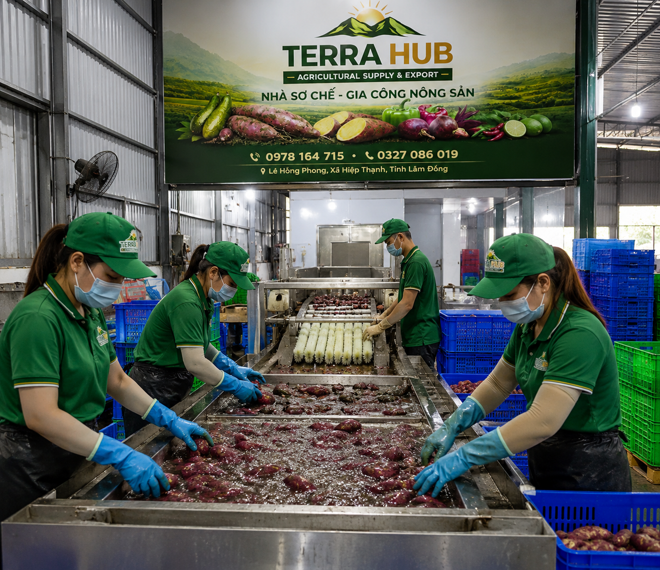Nông sản Terra Hub