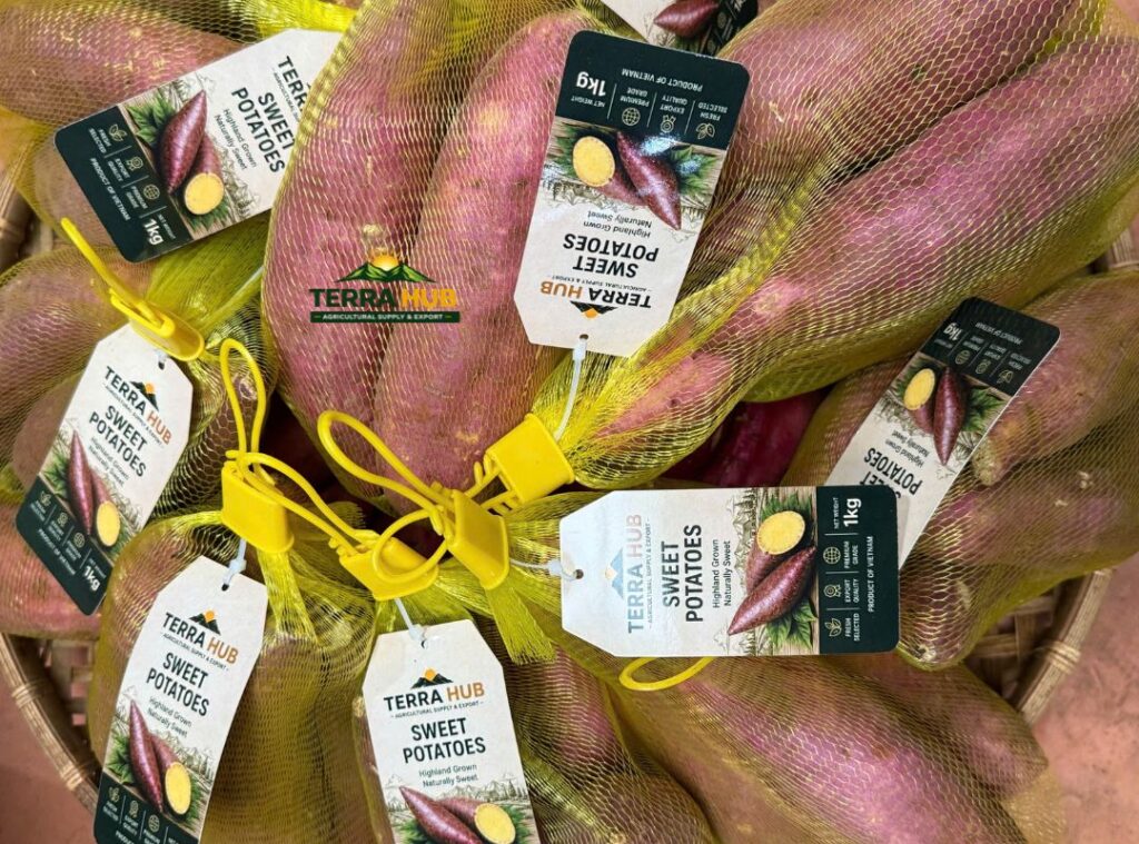 Quy cách túi lưới 1kg Terra Hub