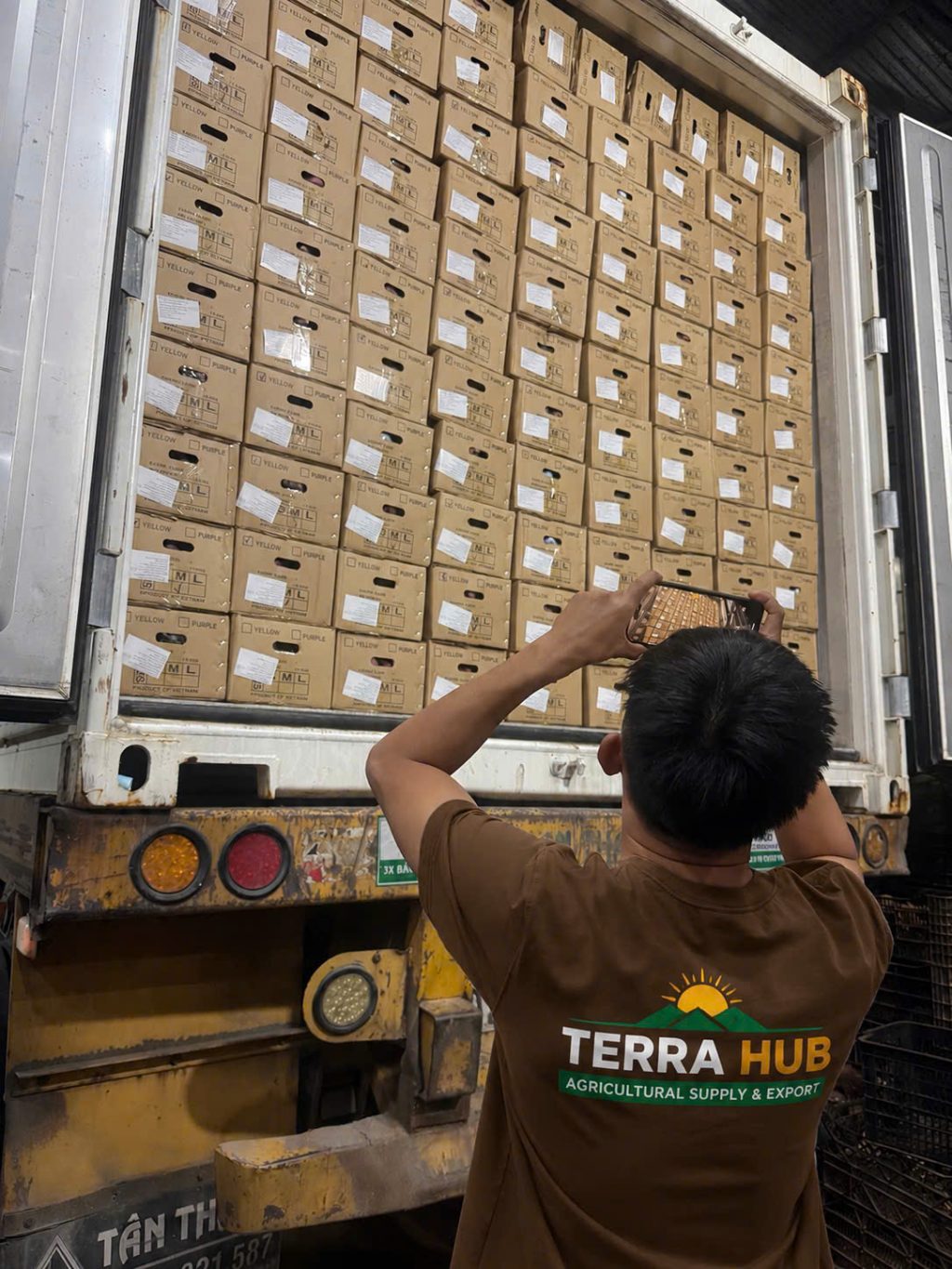 Lĩnh vực hoạt động của terra hub