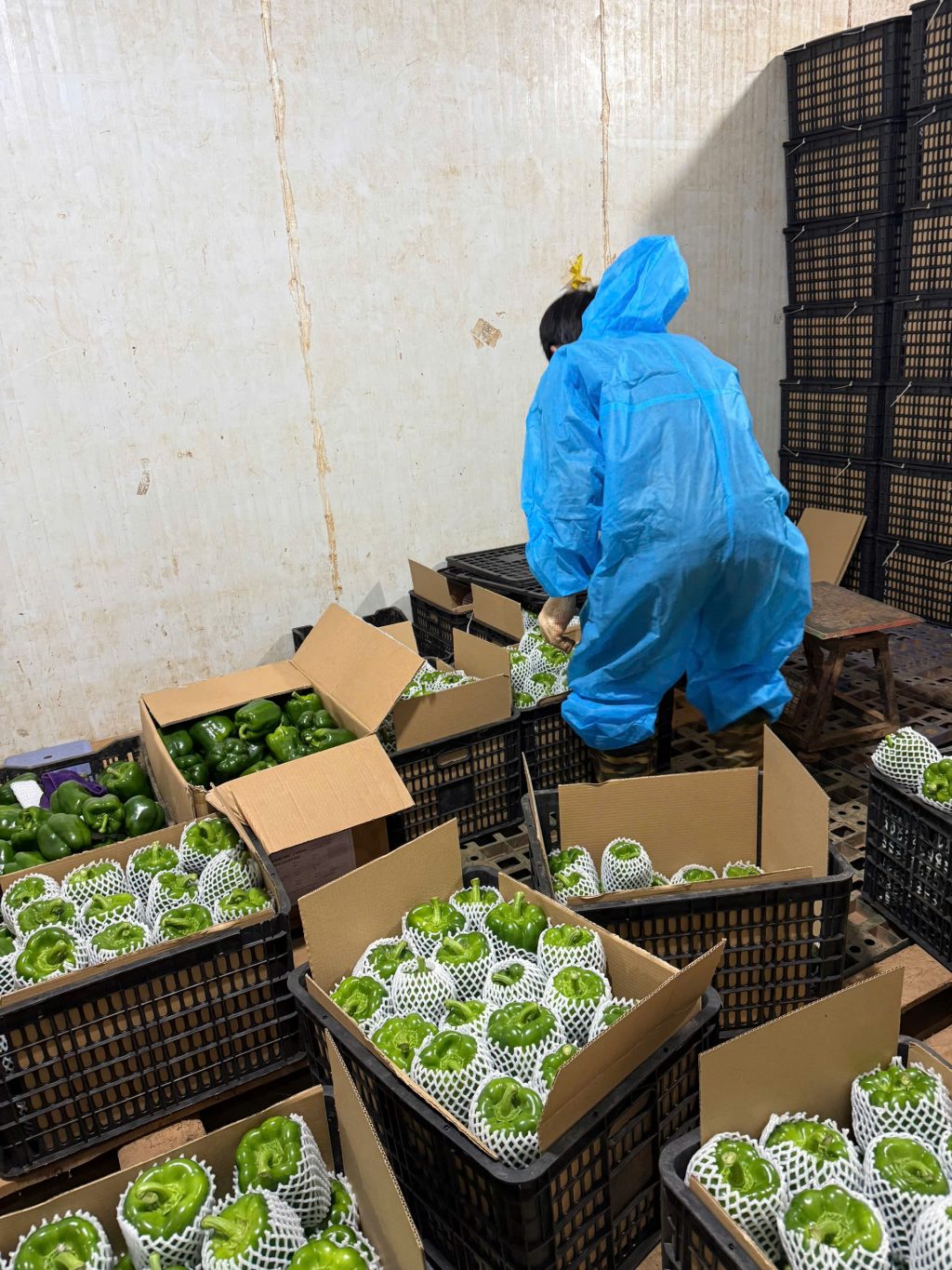 Nhận gia công nông sản
