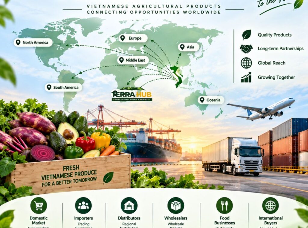 Markets We Serve