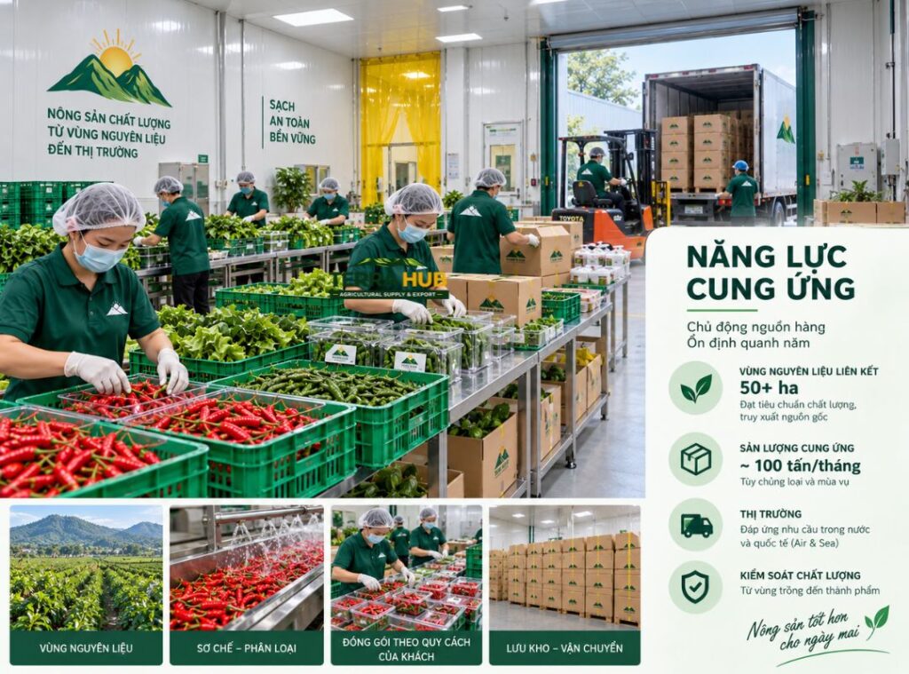 Chuyên cúp nông sản xuất khẩu Air & Sea
