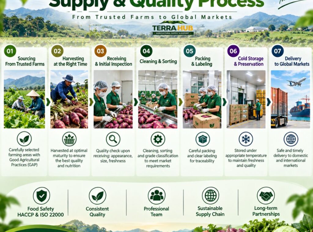 Our Supply & Quality Process
