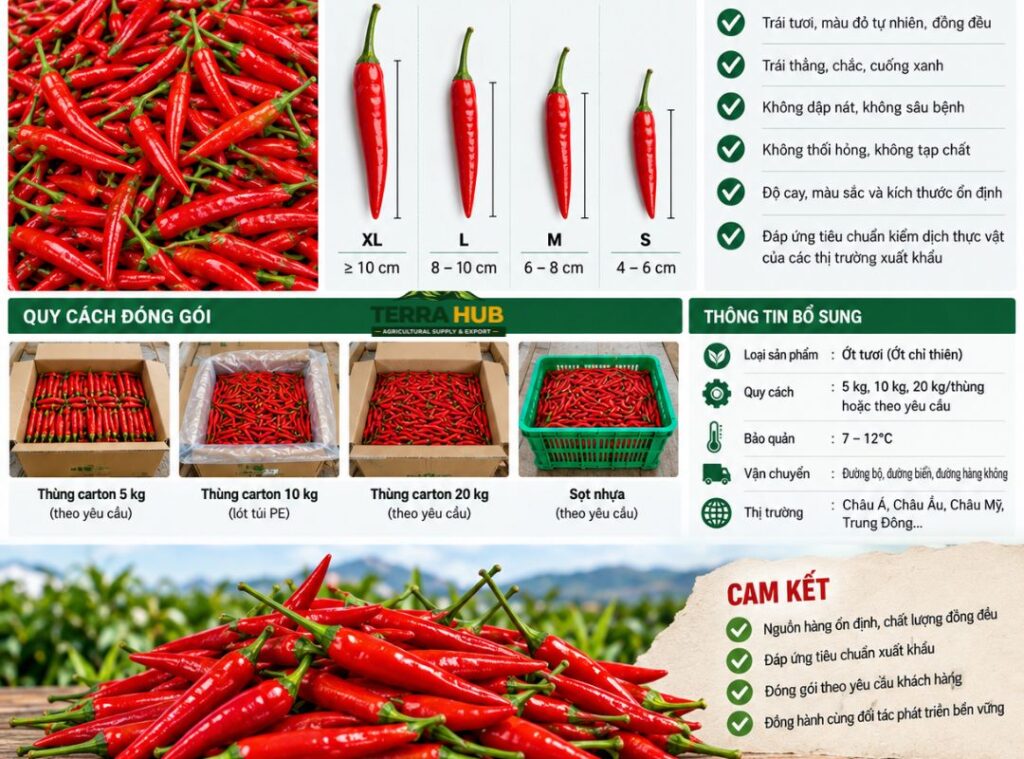 Quy cách ớt cay xuất khẩu