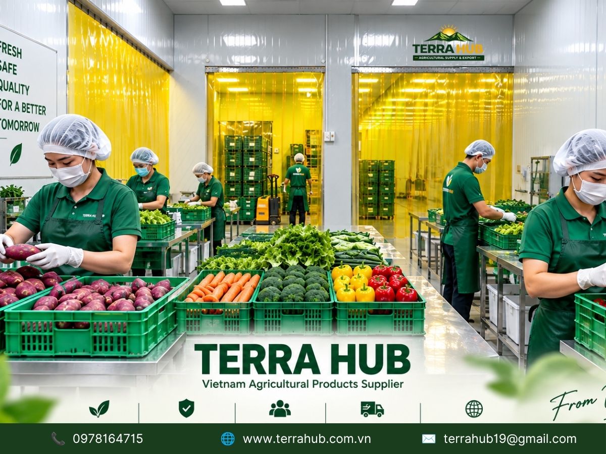 Terra Hub – Modern Agricultural Processing & Packing Facility