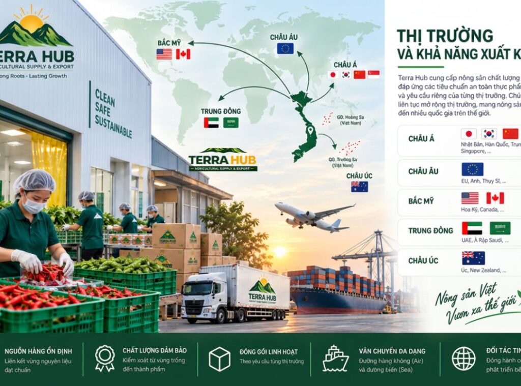 Thị trường xuất khẩu