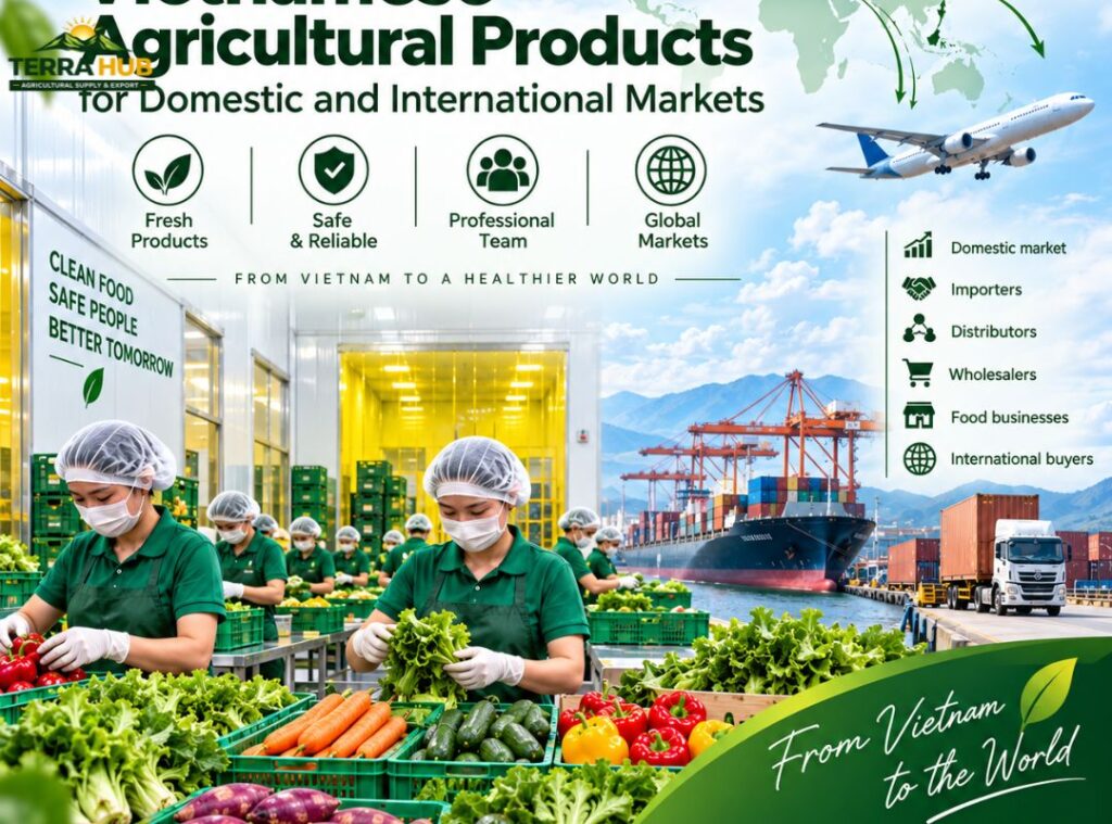 Vietnamese Agricultural Products for Domestic and International Markets